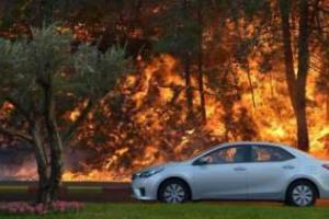 Українські пілоти здійснили посадку в Ізраїлі: незабаром вони вилітають на боротьбу з вогняною стихією