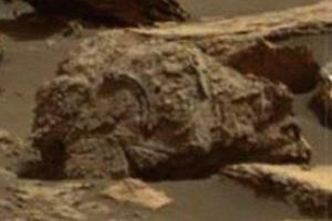 Уфологи заметили останки медведя на поверхности Красной планеты