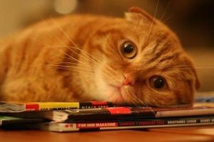 Британські медики з'ясували причину поганого настрою