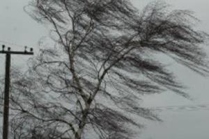 В Мариуполе сильный ветер за ночь обесточил сразу 13 подстанций