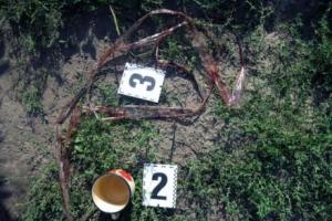 У Харківській области поліція затримала 5 осіб, які жорстоко вбили 78-річну жінку