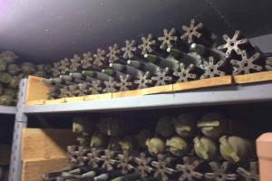 Под Киевом обнаружили подземное хранилище с огромным арсеналом оружия и боеприпасов