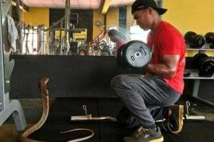 В Таиланде мужчина, после смерти возлюбленной, женился на кобре 