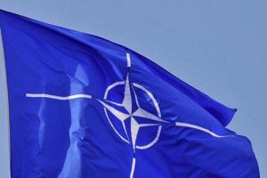 На Парламентской ассамблее НАТО Россия официально признана агрессором