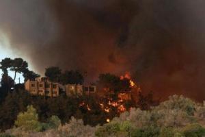 Українці допомагають гасити страшну пожежу в Ізраїлі