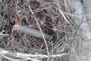 На Донеччині поліцейські, що приїхали на виклик про крадіжку, виявили гранатомет