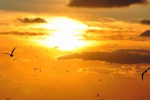 Жители Сочи наблюдали странную аномалию перед крушением Ту-154