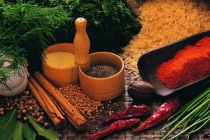 Ученые раскрыли 5 секретов долголетия