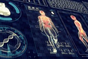 Ученые выявили в организме человека новый орган