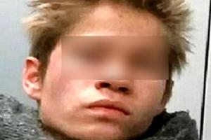 В США задержали российского подростка, подозреваемого в убийстве приемных родителей