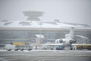 В Москве экстренно сел самолет, на борту которого пассажирка пыталась повеситься