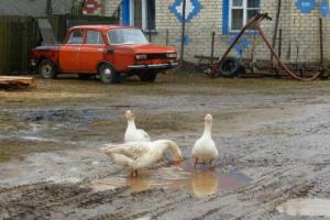 В России могут исчезнуть села, - эксперты