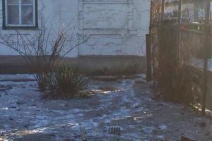 Террористы «ДНР» обстреляли Водяное: погибли животные и пострадали дома