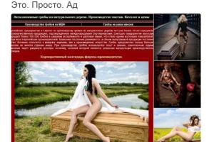 Пользователей соцсетей шокировала эротическая реклама гробов