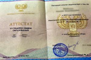 "Мне не нужен этот клочок бумаги": украинец отдал полиции свой "школьный аттестат" "ДНР"