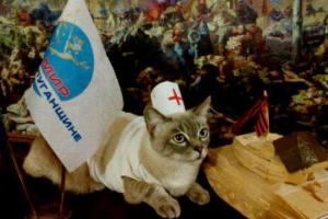 В "ЛНР" выбрали самого "патриотичного" кота