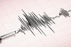 В Папуа-Новой Гвинее произошло мощное землетрясение: информации о разрушениях нет
