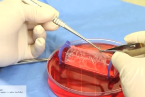 Ученые смогли найти действующий способ возврата памяти