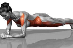 Упражнение планка: виды и техника выполнения