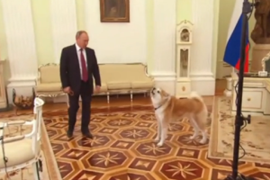 Собака Путина напугала японских журналистов: опубликовано видео