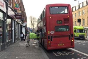 Мэр Лондона сфотографировал коня, который пытался залезть в двухэтажный автобус