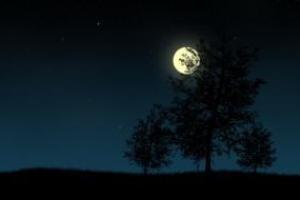 В России предложили укоротить ночи