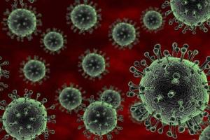 Ученые в панике: найдены вирусы, которые способны уничтожить человечество