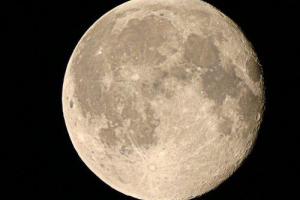 Пять команд из разных стран поучаствуют в гонке на Луну