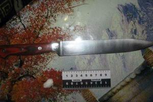 На Донетчине полиция задержала женщину, которая едва не убила своего мужа