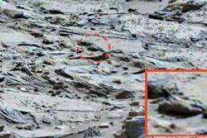 Ученые поразили находкой: на Марсе обнаружен отпечаток стопы пришельца