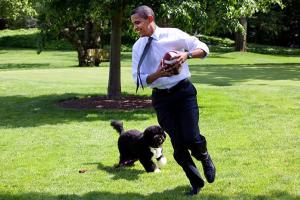 Чем займется Обама на пенсии?