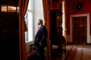 Томенко высмеял поездку украинских политиков на инаугурацию Дональда Трампа в США