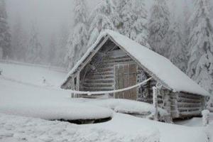 Во Львовской области насмерть замерзла психически больная женщина
