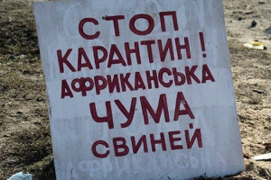 В Украине зарегистрированы вспышки африканской чумы свиней