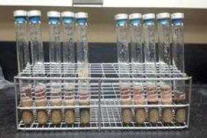 Ученые рассказали, какие микроорганизмы способны выжить на Красной планете