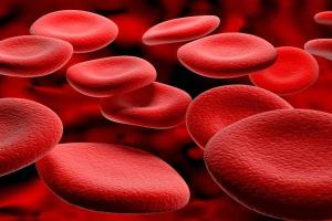 Ученые-биологи выяснили причину сверхвысокой агрессивности рака кожи