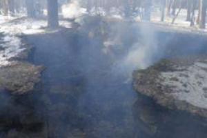 Во Львовской области произошел шокирующий инцидент: музей УПА спалили дотла 