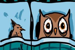 Ученые выяснили, почему люди делятся на "сов" и "жаворонков"