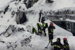 Из попавшего под лавину итальянского отеля спасли трех щенков