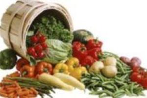 Как вегетарианство вредит человеческому мозгу - ученые