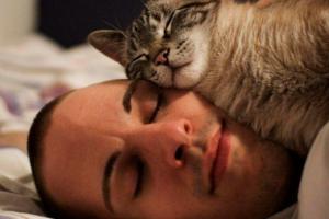 Специалисты назвали простые способы навсегда избавиться от бессонницы