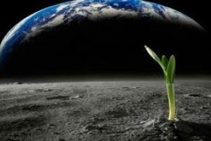 Стало известно, когда планируют найти внеземную жизнь на ледяной луне Юпитера