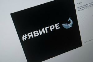 «Группы смерти»: «киты» массово получают свои последние задания, педагоги бьют тревогу