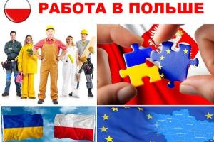 Особенности и преимущества трудоустройства в Польше