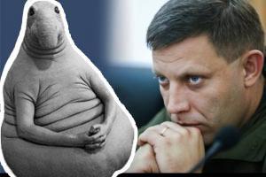 Боевика Захарченко убьют через 86 дней, - украинский волонтер