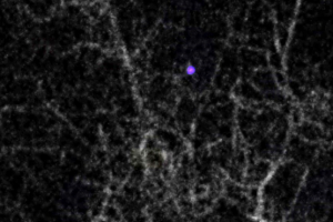 Житель Ростова сфотографировал НЛО: кораблей пришельцев было около 30-ти