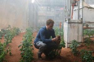 Ученые NASA научились выращивать картофель на Марсе