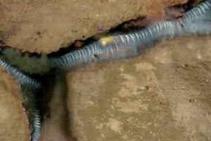 Ученые узнали, кто может обитать в недрах Красной планеты