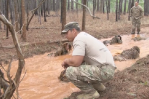 В Сети опубликовано видео подготовки американских снайперов, которое набрало почти полмиллиона просмотров