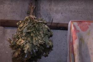 Бойцы АТО построили баню на передовой: опубликовано видео